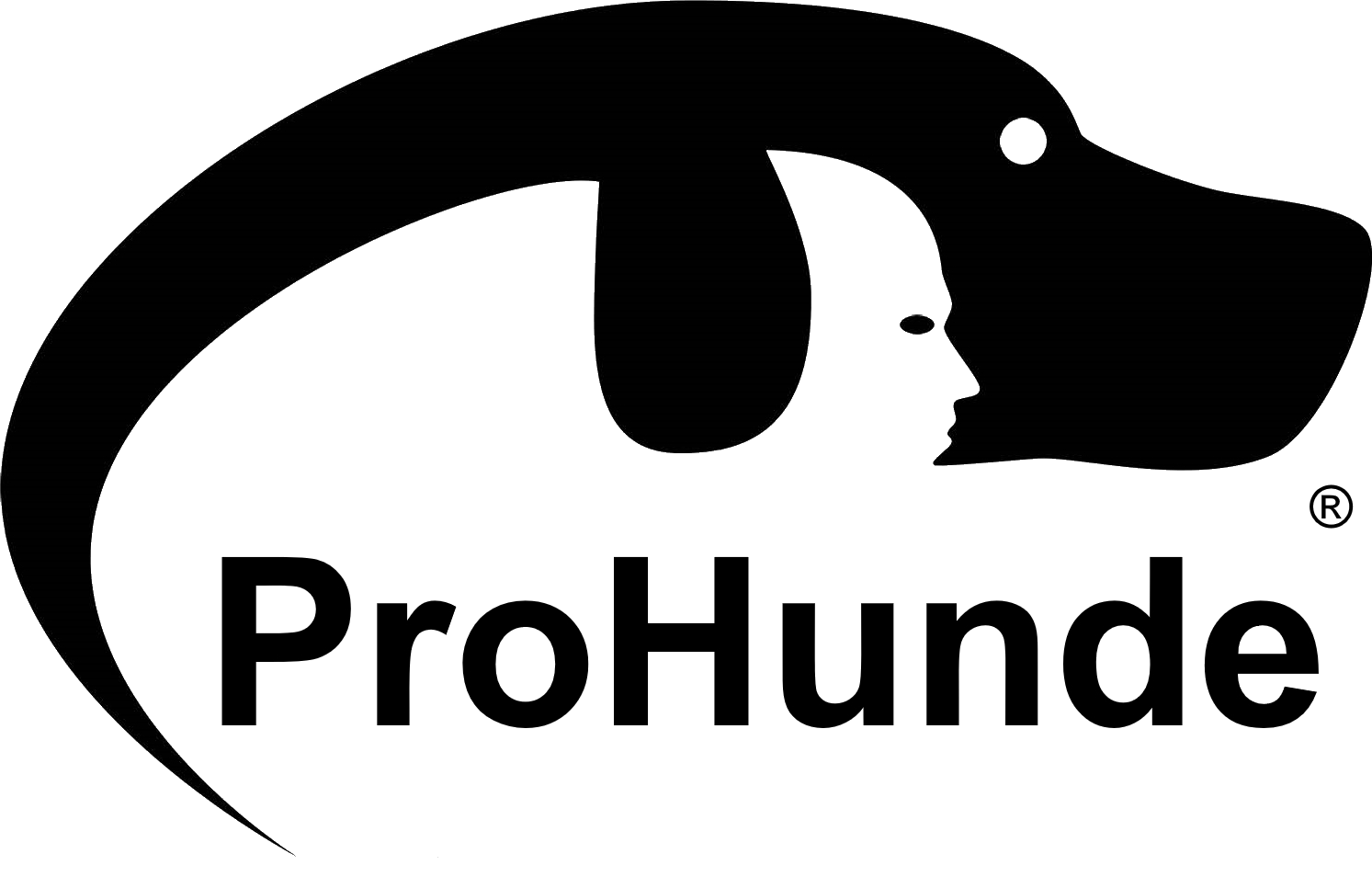 www.pro-hun.de