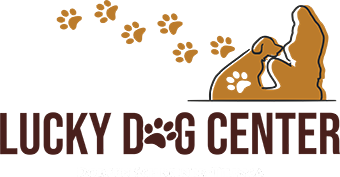 Lucky Dog Center