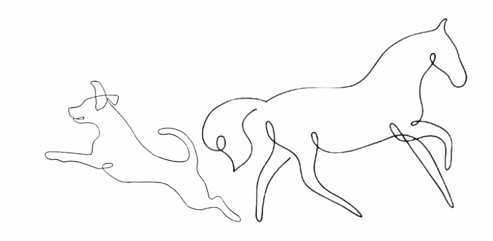 Logo Tierphysio Klein